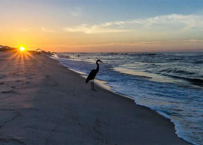 Club D-506 Beachfront-tons Of Amenities-3-restaurants-incredible Views Gulf Shores